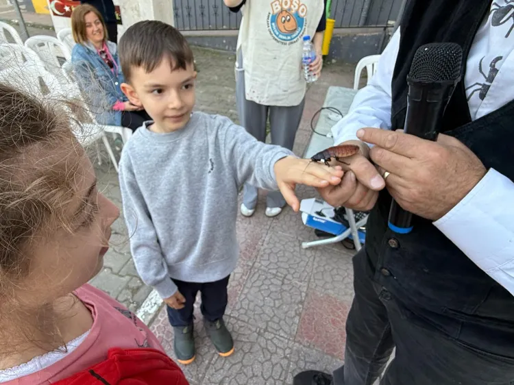 Bursa Osmangazi'de ‘Böcek Bilim’ buluşması yapıldı haberi