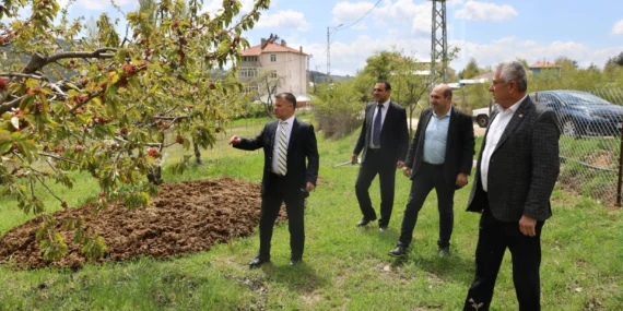 Bursa'dan 'zirai don' mağduru çiftçiye destek haberi