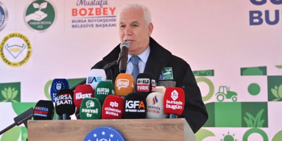 Bursa'dan çiftçiye 1,2 milyon adet çilek fidesi haberi