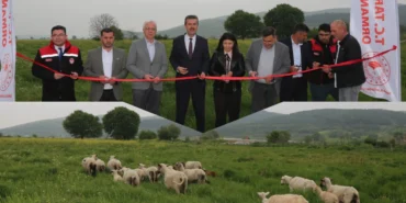 Bursa’da mera ıslahıyla hayvancılık güçleniyor haberi