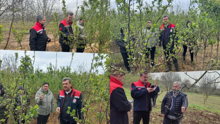 Bursa’da zirai don zararına karşı ekipler sahada haberi