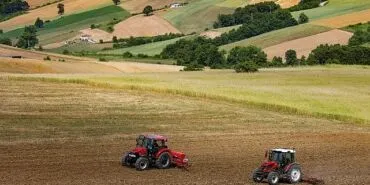 Büyükşehir destekliyor, üretici kazanıyor haberi