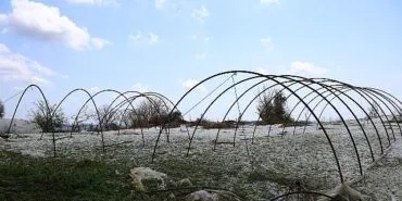 Büyükşehir ekipleri dolu yağışında mağdur olan çiftçinin yanında haberi