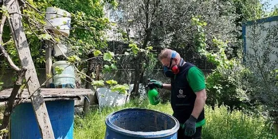 Büyükşehir, sivrisineksiz bir yaz için çalışıyor haberi