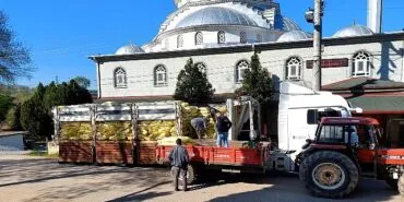 Büyükşehir, tarımın gücüne güç katıyor haberi