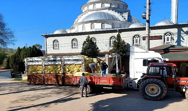 Büyükşehir, tarımın gücüne güç katıyor haberi