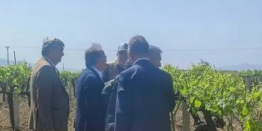 Büyükşehir’den Don Zararına Uğrayan Üreticilere Destek haberi