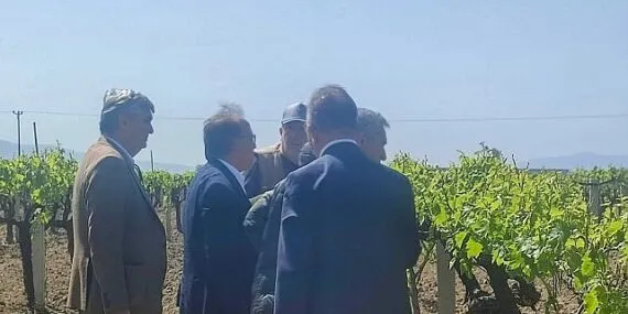 Büyükşehir’den Don Zararına Uğrayan Üreticilere Destek haberi