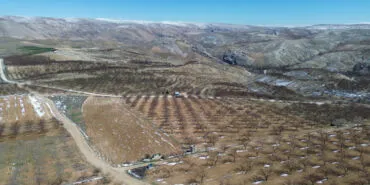 Çiftçiyi 'don' perişan etti! Borçlar ertelenmeli, afet bölgesi ilan edilmeli! haberi