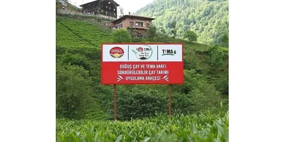Doğuş Çay ve TEMA Vakfı'ndan sağlıklı topraklar ve sürdürülebilir çay tarımı için ortak adım haberi