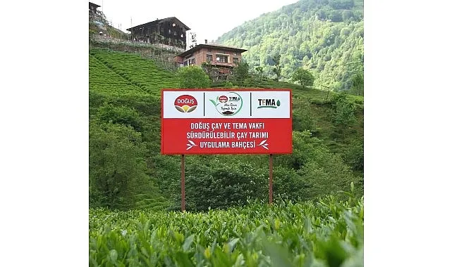 Doğuş Çay ve TEMA Vakfı'ndan sağlıklı topraklar ve sürdürülebilir çay tarımı için ortak adım haberi