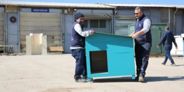 Eskişehir Büyükşehir'den hayvan bakımevi hazırlığı haberi