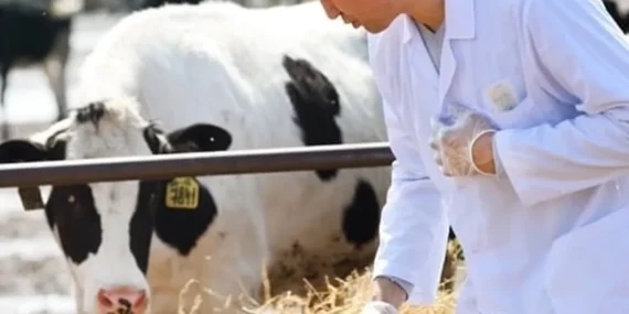 H-ÜFE'de yıllık en yüksek artış veterinerlik hizmetlerinde haberi