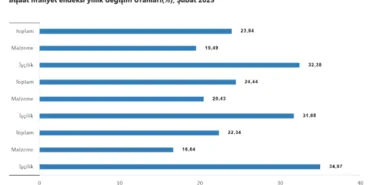 İnşaatta işçilik ve malzeme maliyetleri yükselişte haberi