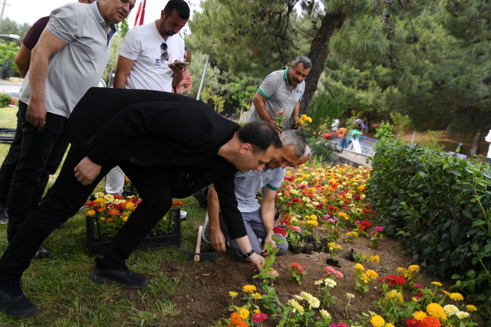 İzmir Bornova kendi çiçeğini kendi yetiştiriyor haberi