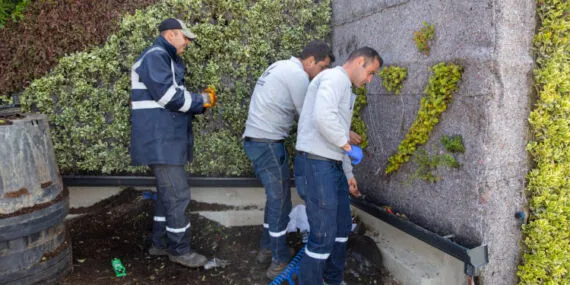 İzmir’de Güzelbahçe çiçek açtı haberi