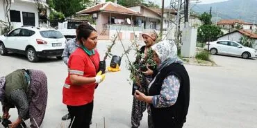 Karşıyaka Belediyesi’nden Sancaklı’da fidan dayanışması haberi