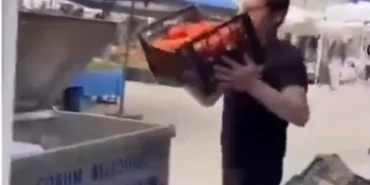 Kasalarca domatesler çöpe döküldü! Cezasız kalmadı! haberi