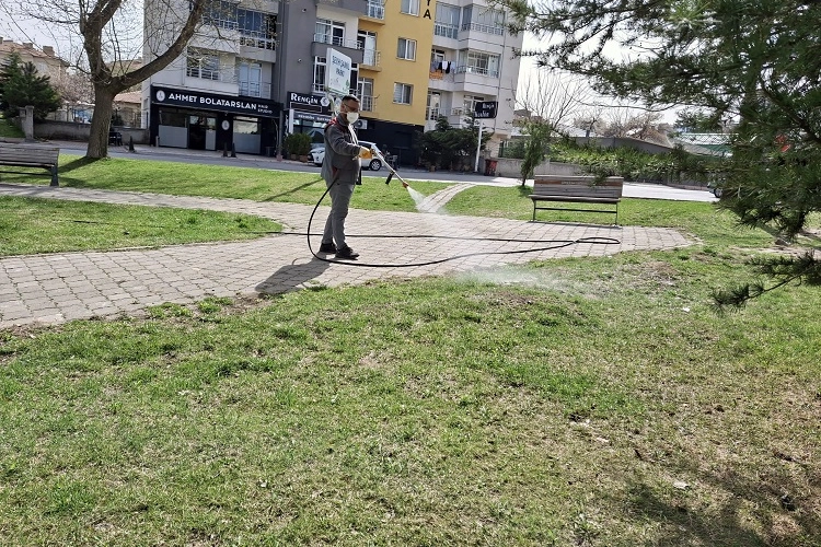 Kayseri Talas'ta sinek ve haşereye erken önlem haberi