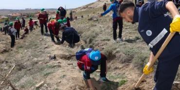 Konya Selçuklu’da yeşil doku güçlenmeye devam ediyor haberi