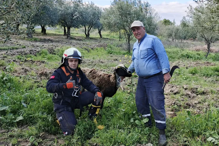 Kuyuya düşen koyunu itfaiye kurtardı haberi