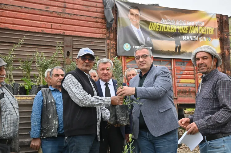 Mansia Büyükşehir yanan alanları yeşillendiriyor haberi