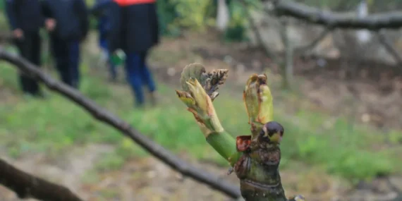 Mudanya'da soğuk hava üretimi yaktı! haberi