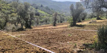 Mudanya'dan tarım arazilerinde hisseli satışlara karşı uyarı! haberi