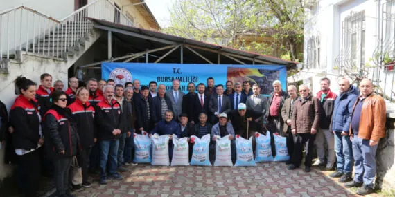 Mustafakemalpaşalı üreticilere nohut ve sorgum tohumu desteği haberi