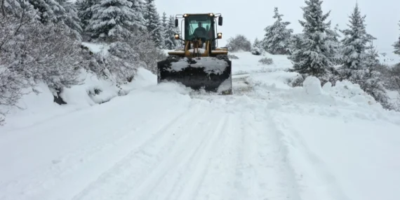 Ordu kara teslim oldu haberi