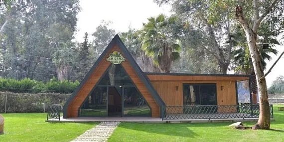 Orman Okullarıyla Gelecek Yeşeriyor haberi