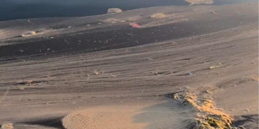 Prof. Dr. Sarı: Marmara’da çözüm kirliliği azaltmak! haberi