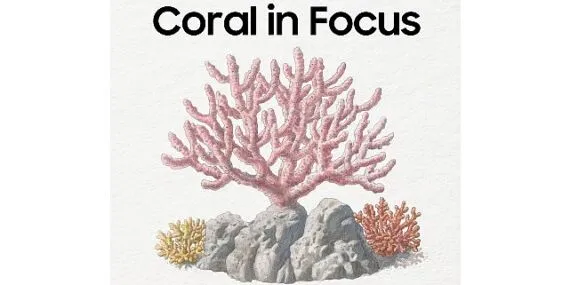 Samsung Galaxy teknolojisiyle 25 basketbol sahası büyüklüğündeki mercan resifi habitatı restore edildi haberi