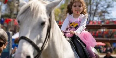 Saraçhane'de "Özgürlük ve Demokrasi Şenliği" Coşkusu Devam Ediyor haberi