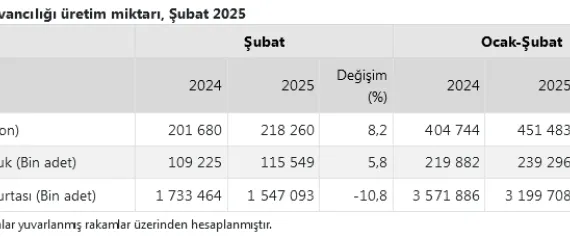 Tavuk eti artarken yumurta üretimi düştü haberi