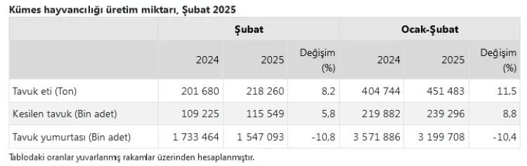 Tavuk eti artarken yumurta üretimi düştü haberi