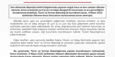 Ticaret'ten limon ihracatına geçici kısıtlama! haberi