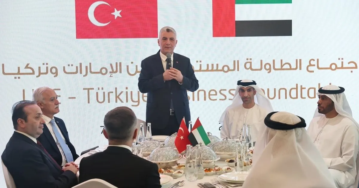 Türkiye ve BAE üçüncü ülkeler iş birliği hedefliyor haberi