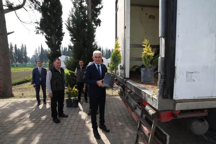 Türkiye'nin 100 bin fidanı Azerbaycan’a gönderildi haberi