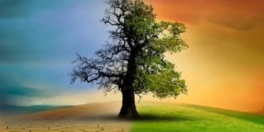 Türkiye'nin ilk İklim Kanunu neler getiriyor? 14 soruda İklim Kanunu... haberi