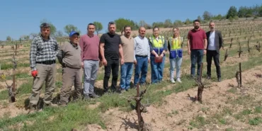 Zarar gören çiftçiye büyük destek haberi