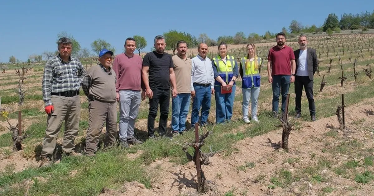 Zarar gören çiftçiye büyük destek haberi