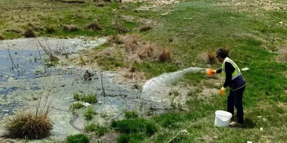 Bayburt Belediyesi’nden Karasinek ve Sivrisineklere Erken Müdahale Haberi