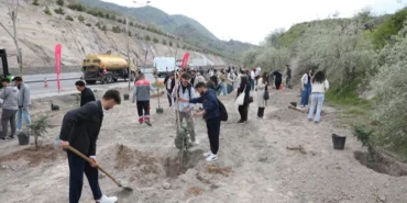 Kayseri Melikgazi'nin yeşil dokusu güçleniyor haberi