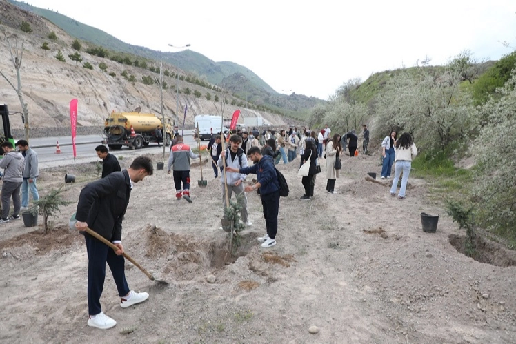 Kayseri Melikgazi'nin yeşil dokusu güçleniyor haberi