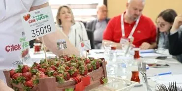 Menemen’de festival coşkusu yaşanacak haberi