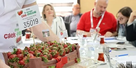 Menemen’de festival coşkusu yaşanacak haberi