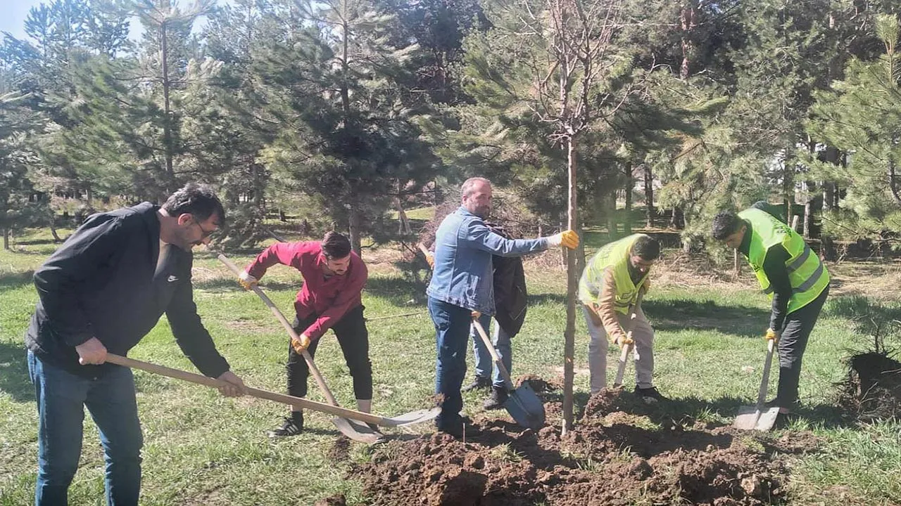 Bayburt'ta Bahar Temizliği ve Ağaçlandırma Hamlesi Başladı Haberi