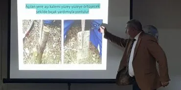 Bayburt'ta Kültür Sohbetleri Meyve Ağacı Aşılamasına Işık Tuttu Haberi