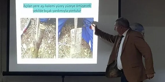 Bayburt’ta Kültür Sohbetleri Meyve Ağacı Aşılamasına Işık Tuttu Haberi